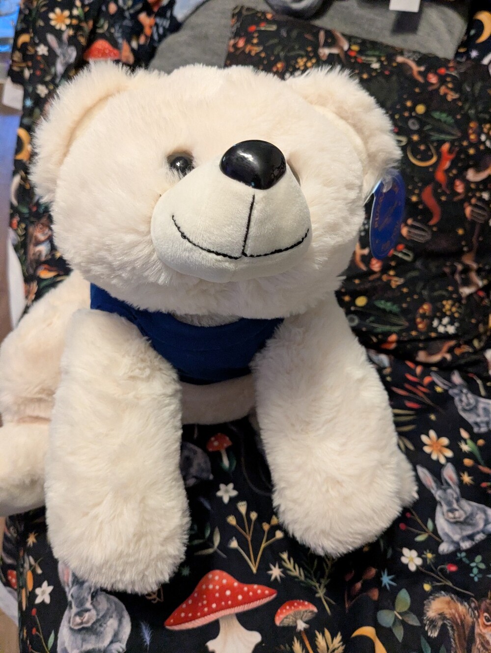 NWT. Plush Cream Bear Stuffed Animal with Blue T Shirt